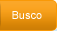 Busco